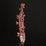 Copper<br />Bou Nahas Mine, Oumjrane mining area, Alnif Commune, Tinghir Province, Drâa-Tafilalet Region, Morocco<br />3.7 x 0.7 cm<br /> (Author: Michael Shaw)