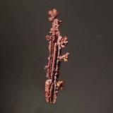 Copper<br />Bou Nahas Mine, Oumjrane mining area, Alnif Commune, Tinghir Province, Drâa-Tafilalet Region, Morocco<br />3.7 x 0.7 cm<br /> (Author: Michael Shaw)