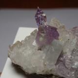 Cuarzo (variedad amatista)<br />Bombori, Provincia Chayanta, Departamento Potosí, Bolivia<br />30x30 mm<br /> (Autor: Ignacio)