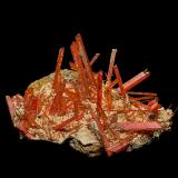 Crocoite<br />Adelaide Mine, Dundas mineral field, Zeehan District, West Coast Council, Tasmania, Australia<br />5.0 x 3.4 cm<br /> (Author: am mizunaka)