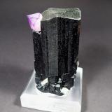 Schorl (Tourmaline Group), Quartz (variety amethyst)<br />Erongo Mountain, Usakos, Erongo Region, Namibia<br />115 mm x 80 mm x 65 mm<br /> (Author: Don Lum)