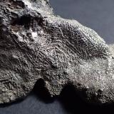 SilverZona Cobalt, Región Cobalt-Gowganda, Distrito Timiskaming, Ontario, Canadá76 mm x 38 mm x 30 mm (Author: Don Lum)