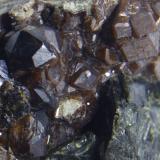 Andradita<br />Cerro de la Concordia, Piedra Parada (Las Vigas), Municipio Tatatila, Veracruz (Veracruz de Ignacio de la Llave), México<br />8.5x7.5x5 cm<br /> (Autor: Luis Edmundo Sánchez Roja)