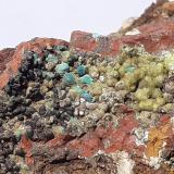 Rosasite, Smithsonite, Goethite, JarositeMina Christiana, Minas Kamariza, Agios Konstantinos, Distrito minero Lavrion, Prefectura Attikí (Attica), Grecia4 x 3,5 cm (Author: Volkmar Stingl)