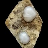 two lussatite pearls on matrix
3 cm,
Dallet in Puy-de Dôme,
Auvergne
France (Author: parfaitelumiere)