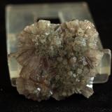 AragonitoLoma Bada, Petrer, Comarca Medio Vinalopó, Alicante / Alacant, Comunidad Valenciana / Comunitat Valenciana, España3.5 x 3 cm (Autor: Pedro Antonio)
