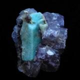 Fluorite and Amazonite
4cm
Teller county(mroe precise location,do you have it?)
Colorado
USA (Author: parfaitelumiere)