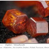 Vanadinite<br />Mibladen (Mibladen mining district), Midelt, Midelt Province, Drâa-Tafilalet Region, Morocco<br />fov 3.8 mm<br /> (Author: ploum)