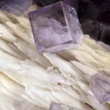 Fluorita, Barita<br />La Cabaña, Valdelmar, zona minera de Berbes, Berbes, Ribadesella, Comarca Oriente, Principado de Asturias (Asturias), España<br />cristal de 1cm<br /> (Autor: Raul Vancouver)