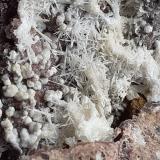 Dawsonite, Aragonite, Quartz<br />Terlano (Terlan), Bolzano Province, Trentino-Alto Adige (Trentino-Südtirol), Italy<br />8 x 6 cm<br /> (Author: Volkmar Stingl)