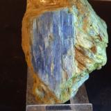 Cianita<br />Alpe Sponda - Pizzo Forno, Valle Chironico, Leventina, Ticino (Tessin), Suiza<br />72 x 56 mm<br /> (Autor: Sante Celiberti)