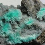 Auricalcita<br />Concesión D. H., Keystone Gulch, Chilito, Zona Hayden, Distrito Banner, Montes Dripping Spring, Condado Gila, Arizona, USA<br />5x9cm<br /> (Autor: Ramon A  Lopez Garcia)