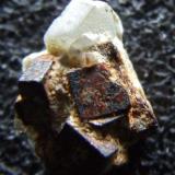 Phenakite on Pyrite, Mt Antero Colorado,    11 x 5mm (Author: nurbo)