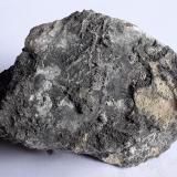 SilverDistrito Schlema-Hartenstein, Erzgebirgskreis, Sajonia/Sachsen, Alemania7 x 4,5 cm (Author: Volkmar Stingl)