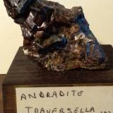 Andradita<br />Mina Traversella, Traversella, Valle Chiusella, Distrito Canavese, Provincia Ciudad metropolitana de Turín, Piamonte (Piemonte), Italia<br />66 x 40 mm<br /> (Autor: Sante Celiberti)