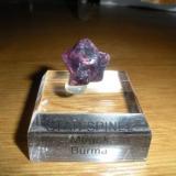 Star Spinel, T/N from Mogok, Burma (Author: Gail)