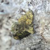 Calcopirita sobre DolomitaMina Mariana, Arroyo de los Hornos, Villanueva del Duque, Comarca Los Pedroches, Córdoba, Andalucía, EspañaCampo de visión de 10 mm. (Autor: Antonio Carmona)