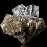 Fluorita<br />Monte Xuebaoding, Pingwu, Prefectura Mianyang, Provincia Sichuan, China<br />16.5 x 10 x 15 cm / cristal principal: 7.3 cm<br /> (Autor: Museo MIM)