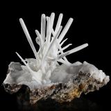 Aragonite (variety flos ferri)Sapin Vert Mine, Altenberg Peak, Sainte-Marie-aux-Mines, Colmar-Ribeauvillé, Haut-Rhin, Grand Est, France11 x 11 x 10 cm (Author: MIM Museum)