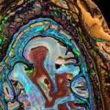 Opal (variety boulder opal)<br />Yowah opal field, Paroo Shire, Queensland, Australia<br />7.5 x 8 x 2 cm<br /> (Author: MIM Museum)