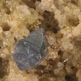 Anatasa<br />Valle Canaria, Airolo, Macizo Central San Gotardo, Leventina, Ticino (Tessin), Suiza<br />Cristal 1,3 mm<br /> (Autor: Jorgina-Agusti-Màrius)