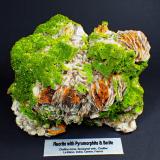 Pyromorphite on Fluorite, BaryteMina Chaillac, Filón rossignol, Chaillac, Le Blanc, Indre, Centre-Val de Loire, Francia155 mm x 96 mm x 75 mm (Author: Don Lum)