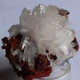 Hemimorphite<br />Ojuela Mine, Mapimí, Municipio Mapimí, Durango, Mexico<br />4,5 x 4,5 cm<br /> (Author: Volkmar Stingl)