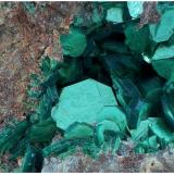 Meta-Torbernite<br />El Sherana Mine, South Alligator River, West Arnhem Region, Northern Territory, Australia<br />80 mm x 70 mm x 60 mm<br /> (Author: silvia)