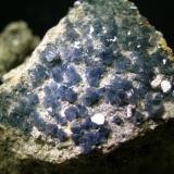Blue Quartz.
Los Vives - Orihuela - Alicante (Spain)
Size of the specimen: 60x40mm (Author: trencapedres)