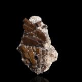 Buergerita<br />San Luis Potosí, México<br />5,0 x 3,0 x 2,0 cm<br /> (Autor: Museo MIM)