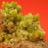 Pyromorphite
Mina San Andrés, Villaviciosa de Córdoba, Espiel, Córdoba, Spain
6 x 6 cm 
largest crystal 1 cm (Author: James Catmur)