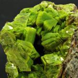 Uranocircite of intense neon green colour on granite matrix. Total size is 11 x 5 x 7 cm, FOV is approx. 5 cm. From the early 1990s when a big find was made with excellent samples. (Author: Montanpark)