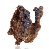 Cobre y Cuprita<br />Mina Poteryaevskoe, Distrito Rubtsovsky, Altai Krai, Rusia<br />16 x 11 x 16 cm<br /> (Autor: Museo MIM)