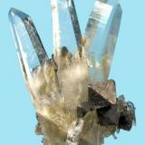 Scheelite, quartz
Tamboras mine, Mundo Nuevo, Huamachuco, La Libertad, Peru
80 mm x 49 mm (Author: Carles Millan)