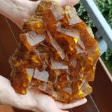 Fluorite<br />Wölsendorf Mining District, Upper Palatinate/Oberpfalz, Bavaria/Bayern, Germany<br />Specimen size 25 x 21 cm, largest crystal 5 cm<br /> (Author: Tobi)