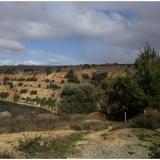 -Burra, Cordilleras Monte Lofty, Australia Meridional, Australia (Author: silvia)