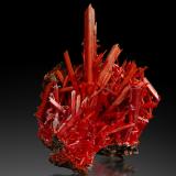 Crocoite<br />Adelaide Mine, Dundas mineral field, Zeehan District, West Coast Council, Tasmania, Australia<br />14 x 14 x 18 cm / main crystal: 11.3 cm<br /> (Author: MIM Museum)