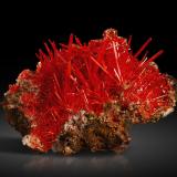 Crocoite<br />Adelaide Mine, Dundas mineral field, Zeehan District, West Coast Council, Tasmania, Australia<br />16 x 13 x 10 cm / main crystal: 4.5 cm<br /> (Author: MIM Museum)