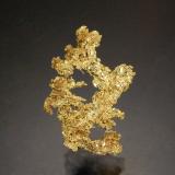Gold<br />Los Delirios claim, Delirios III cut, Municipio Vetas, Soto Province, Santander Department, Colombia<br />2.0 x 1.4 cm<br /> (Author: Michael Shaw)