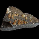 Calcite<br />Campomorto Quarry, Pietra Massa, Montalto di Castro, Viterbo Province, Lazio, Italy<br />70 mm x 30 mm x 40 mm<br /> (Author: Dany Mabillard)