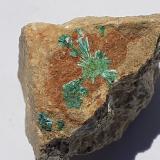 Tyrolite<br />Gratlspitze, Thierbach, Wildschönau, Kufstein District, Inn Valley, North Tyrol, Tyrol/Tirol, Austria<br />1,5 x 1,5 cm<br /> (Author: Volkmar Stingl)