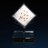 Oro<br />Cerro del Sol (Cerro del Oro), Cenes de la Vega, Comarca Vega de Granada, Granada, Andalucía, España<br />2 - 3 mm.<br /> (Autor: Antonio P. López)