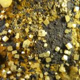 WulfenitaMinas del Barranco del Humo, Albuñuelas, Comarca Valle de Lecrín, Granada, Andalucía, España4 x 2 cm. (Autor: Felipe Abolafia)