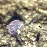 Strengita<br />Mina Coon Creek, Montes Cossatot, Shady, Condado Polk, Arkansas, USA<br />< 1 mm<br /> (Autor: José Luis Zamora)