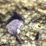 StrengitaMina Coon Creek, Montes Cossatot, Shady, Condado Polk, Arkansas, USA&lt; 1 mm (Autor: José Luis Zamora)