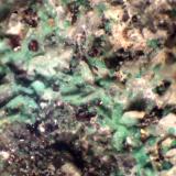 Atacamita pseudo SanidinaCanteras Villa Inglese, Torre del Greco, Monte Vesubio, Complesso Somma-Vesuvio, Ciudad metropolitana de Nápoles, Campania, Italiaxx &lt; 1 mm (Autor: José Luis Zamora)
