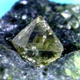 Diamante<br />Kimberley, Distrito Francis Baard, Provincia Septentrional del Cabo, Sudáfrica<br />Cristal de 3 mm.<br /> (Autor: Antonio P. López)