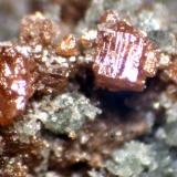 Perovskita<br />Rocca Sella, Almese, Val di Susa, Provincia Ciudad metropolitana de Turín, Piamonte (Piemonte), Italia<br />< 1 mm<br /> (Autor: José Luis Zamora)