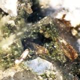 Synchisita<br />Canteras Beura, Beura-Cardezza, Valle Ossola, Provincia Verbano-Cusio-Ossola, Piamonte (Piemonte), Italia<br />< 1 mm<br /> (Autor: José Luis Zamora)