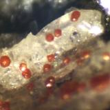 ZirconolitaCantera Le Novelle, Ercolano, Monte Somma, Complesso Somma-Vesuvio, Ciudad metropolitana de Nápoles, Campania, Italia&lt; 1 mm (Autor: José Luis Zamora)